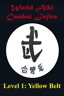 World Aiki Combat Jujits Level 1 Yellow Belt